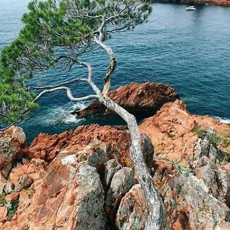 Appartement 3 Pieces 6/7 Personnes Au Calme - Cap Esterel, Cote D'azur